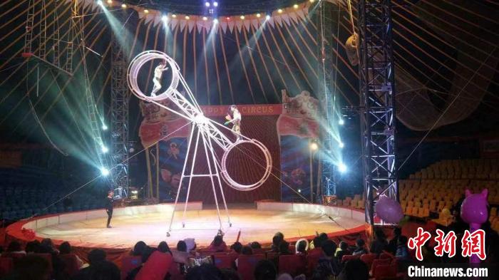 明星齐聚南京银杏湖 跨年荧光跑点燃新年激情