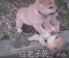 文班亚马两场40+两双创马刺队史纪录 竞争MVP悬念